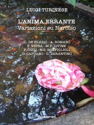 cover image of L'anima errante